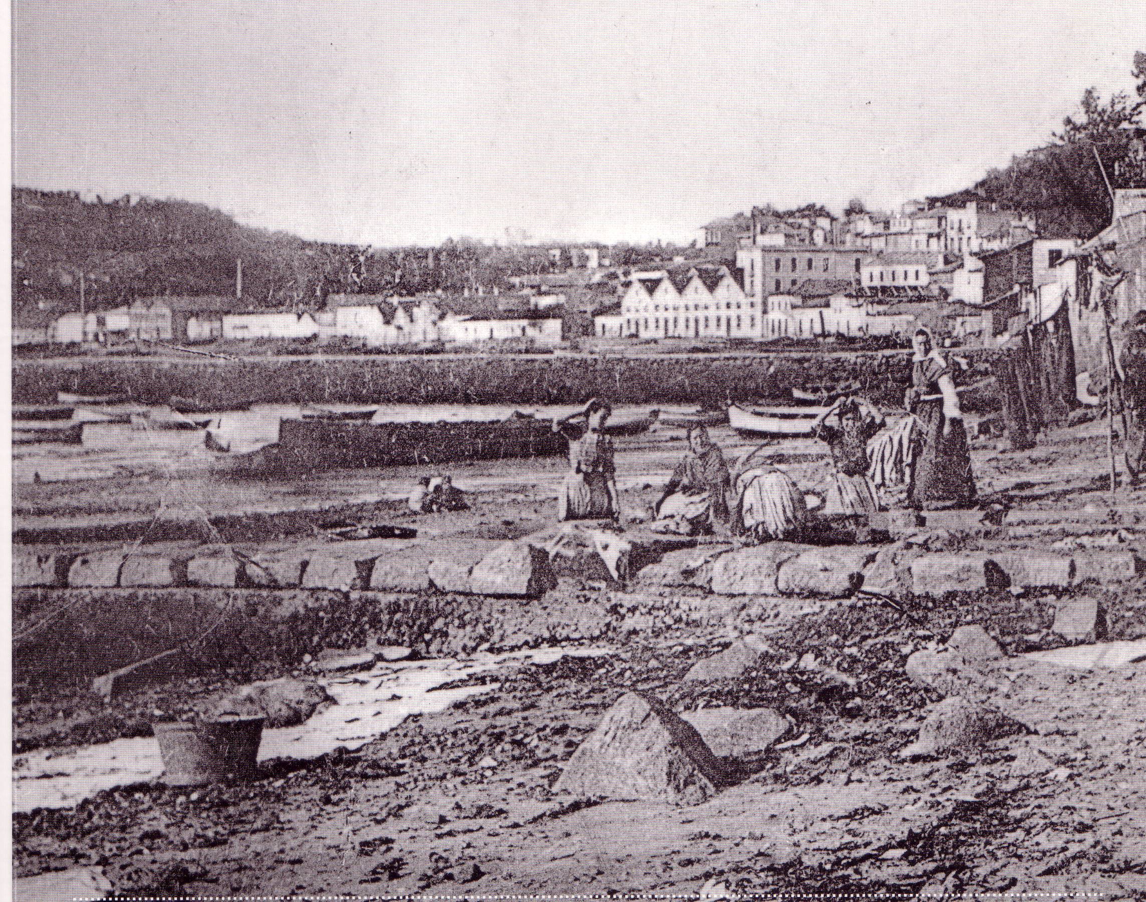 vigo guisar